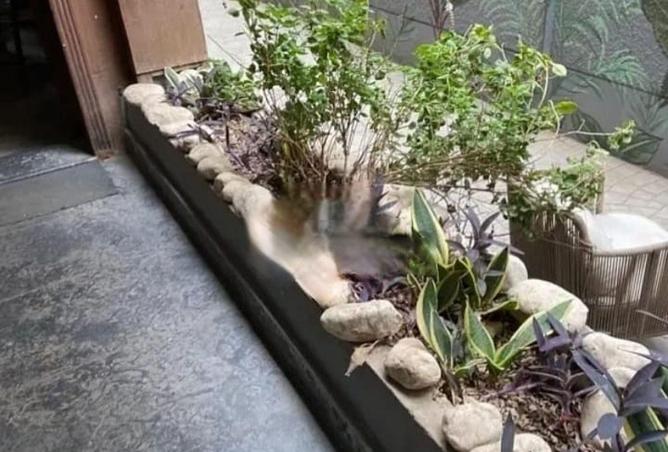 64381741 - صورة العقار 2