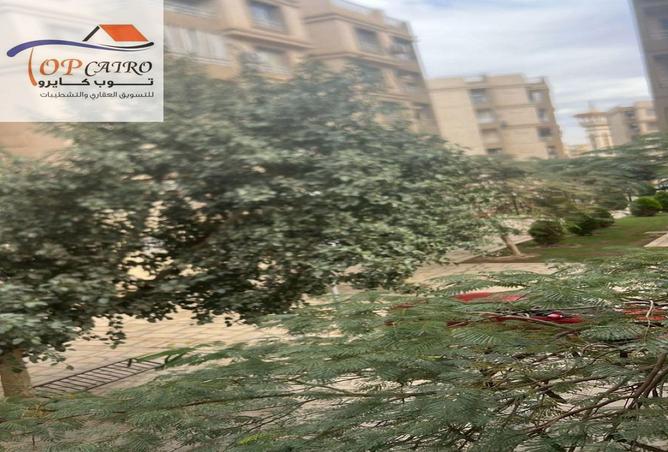 53724314 - صورة العقار 2