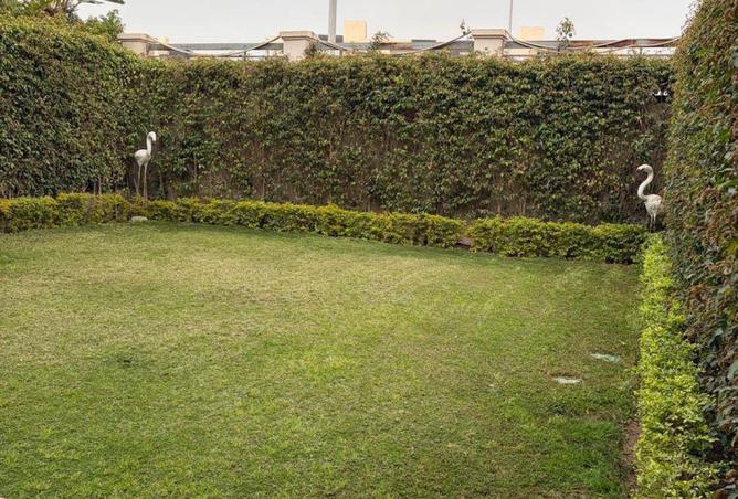 66420245 - صورة العقار 2