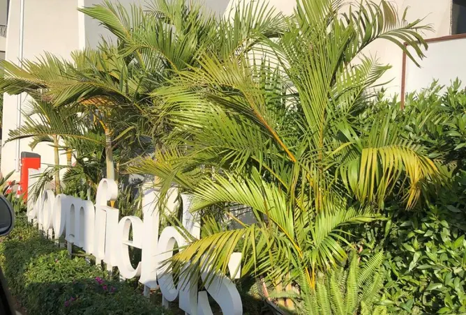 88968717 - صورة العقار 3