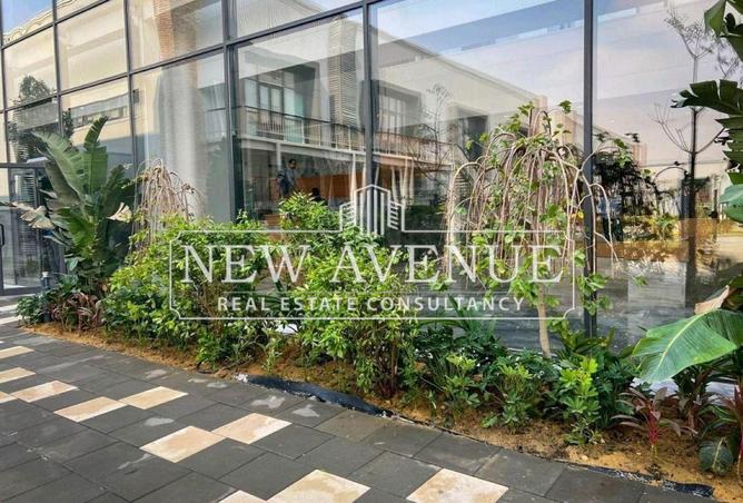 54230683 - Property Image 2