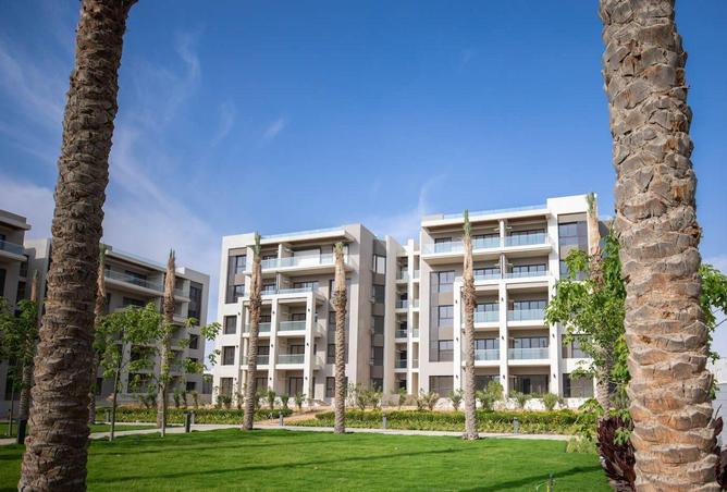 64902992 - Property Image 3