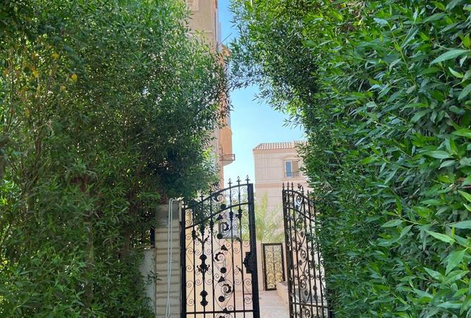 8580856 - صورة العقار 2