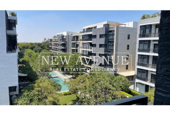 2P2ooZjO772 - Property Image 3