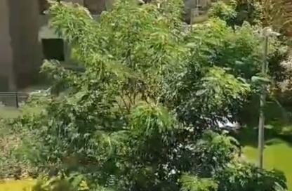 Apartment - 3 Bedrooms - 3 Bathrooms for sale in Celia - New Capital Compounds - New Capital City - Cairo