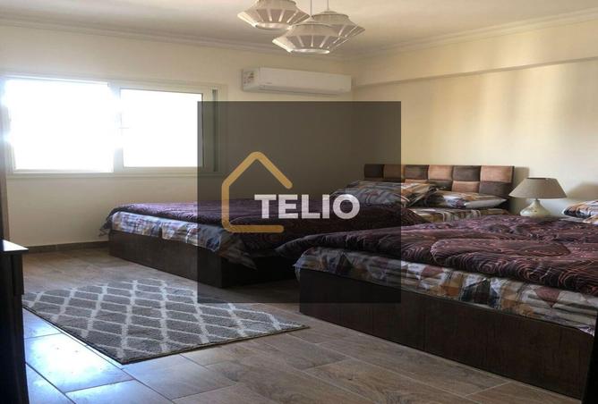 8722133 - Property Image 3