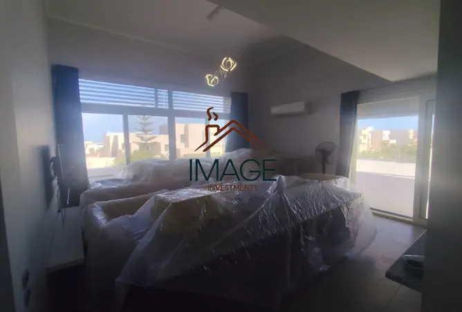 117263441 - Property Image 2