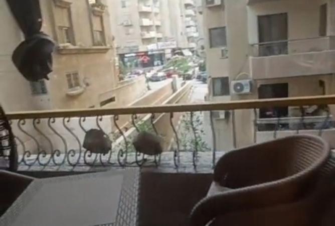 8510543 - Property Image 2