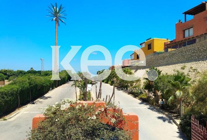 70109255 - صورة العقار 2