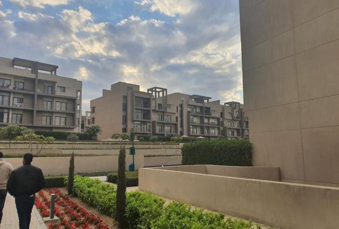 80253700 - Property Image 2