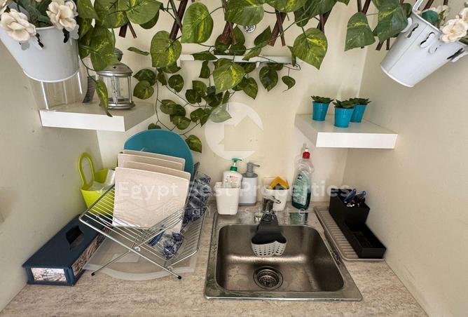 70373489 - Property Image 3