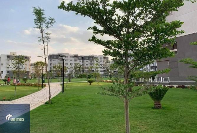 8599224 - Property Image 2