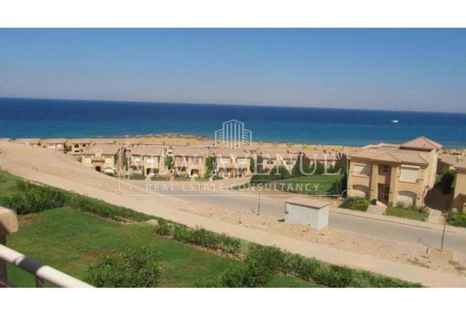 86684709 - صورة العقار 3