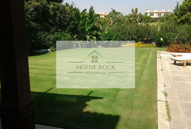 54498866 - Property Image 3