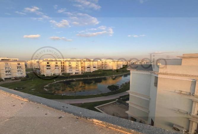 8672381 - Property Image 3