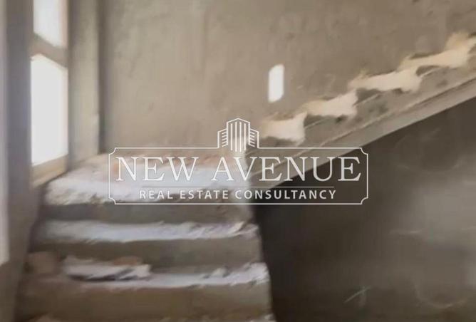 56504854 - Property Image 3