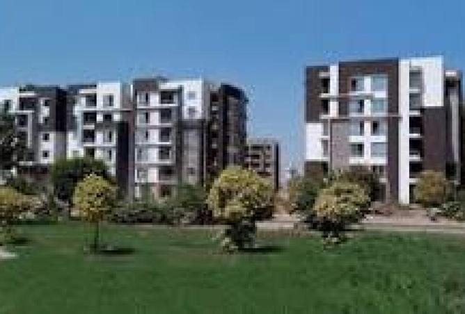 57992960 - صورة العقار 3