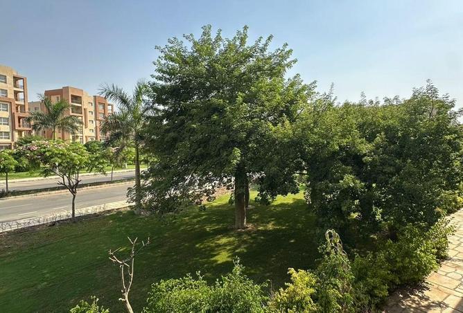 8638285 - Property Image 2