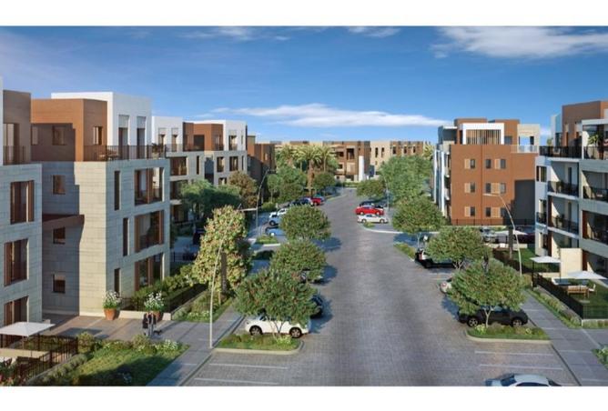 8395584 - Property Image 2