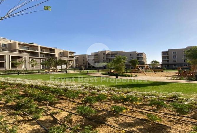 61691097 - Property Main Image