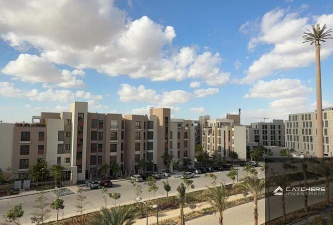 73505881 - Property Image 3