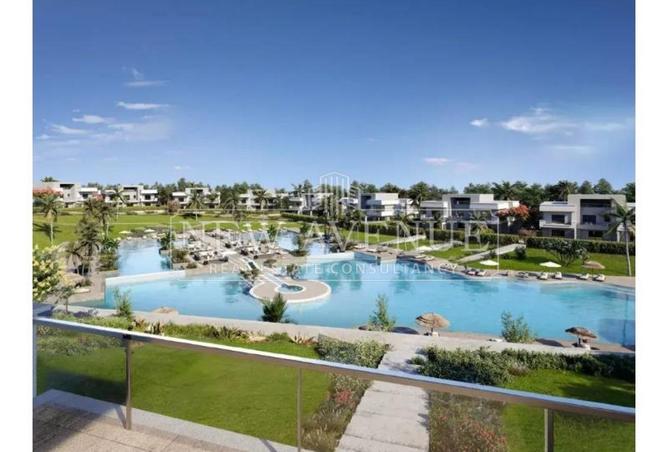 81564541 - Property Image 3