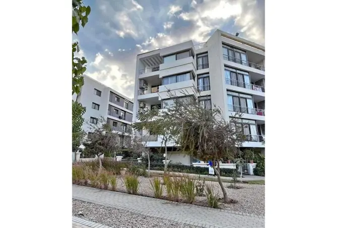 98554525 - Property Image 2