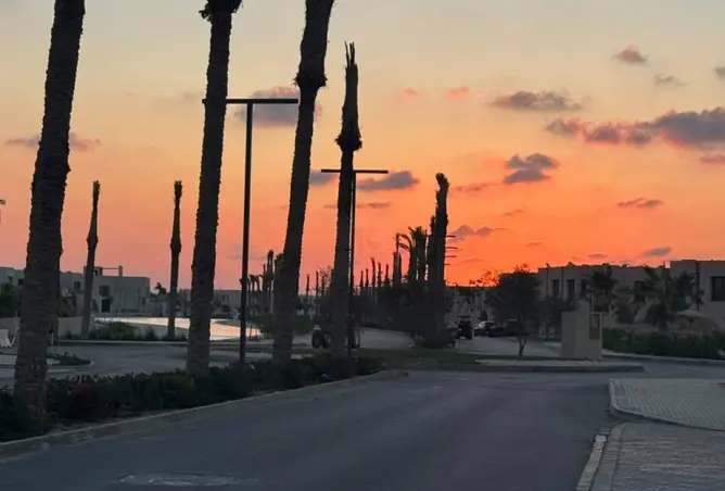 118290017 - صورة العقار 3