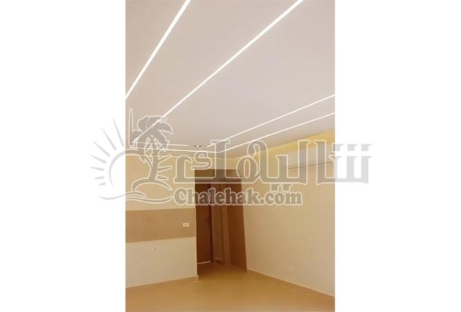 66966767 - Property Image 2