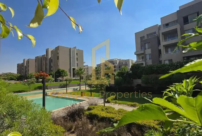 120355658 - Property Image 3