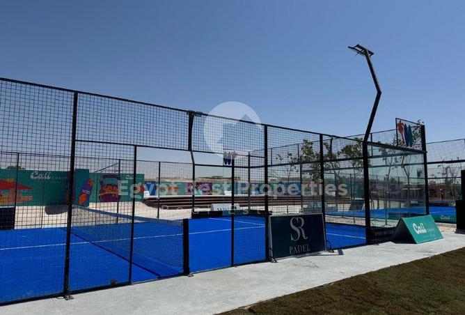 74592159 - Property Image 3