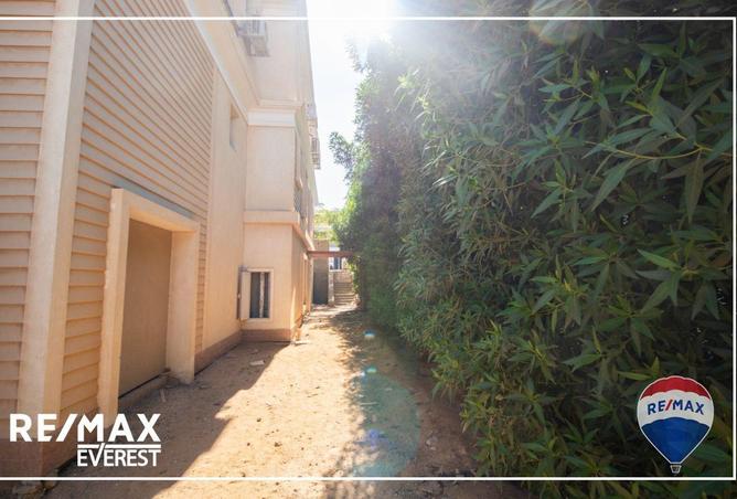 55504245 - Property Image 3