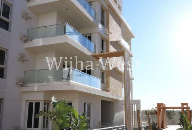 102915926 - Property Image 3