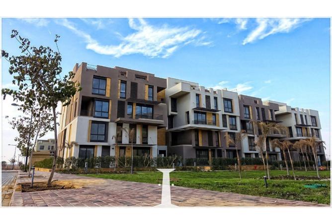 55762600 - صورة العقار 2