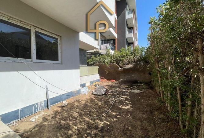 53987579 - Property Image 3