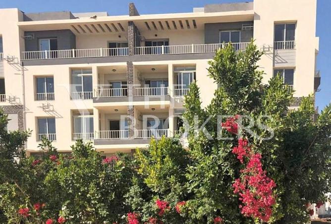 58251189 - صورة العقار 3