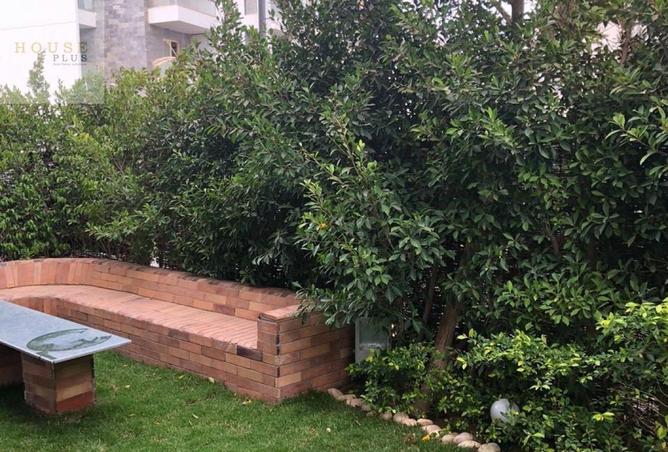 8619816 - Property Image 3