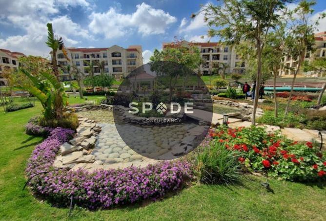 56499134 - Property Image 2