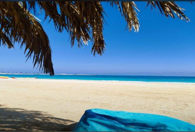 66961472 - صورة العقار 3