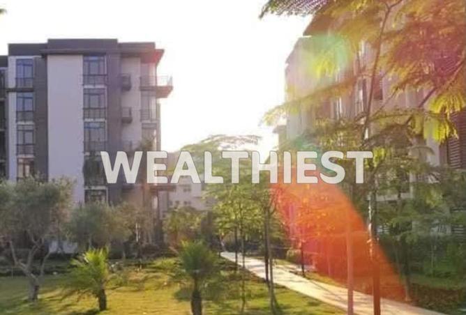 61452243 - صورة العقار 2