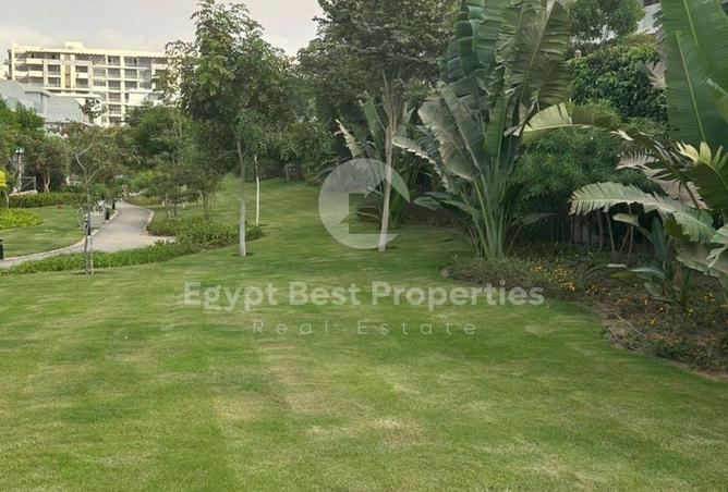 64391406 - Property Image 3