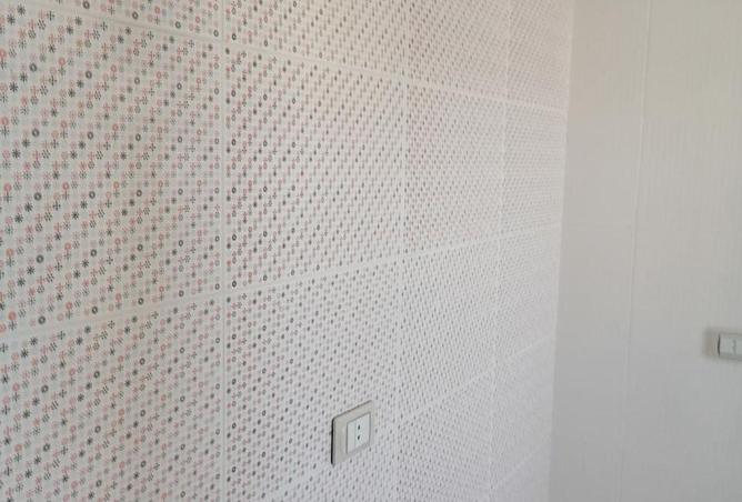 66686736 - صورة العقار 3