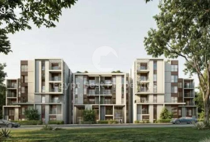 52453241 - Property Image 2