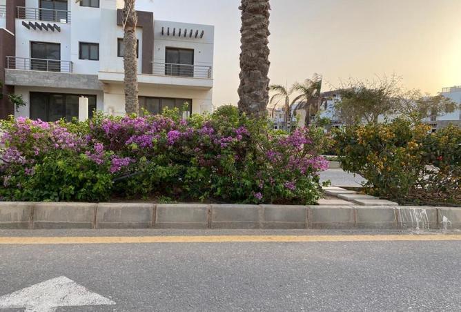 52714213 - Property Image 3