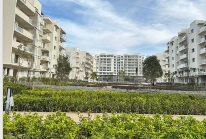 70625059 - صورة العقار 3