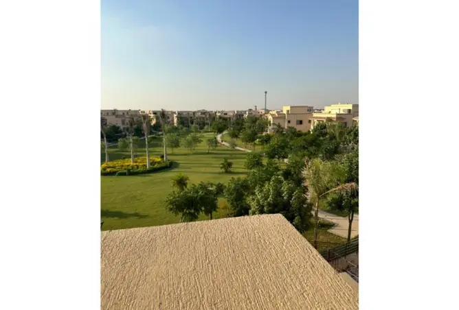 111893943 - Property Image 3