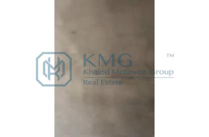 Duplex - 4 Bedrooms - 3 Bathrooms for sale in Mohamed Hussein Mahmoud St. - Area E - Ganoob El Acadimia - New Cairo City - Cairo
