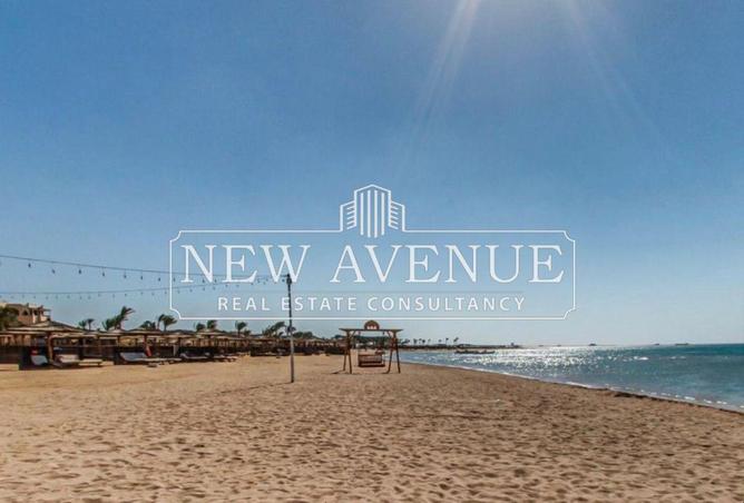 68525107 - Property Image 3