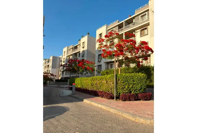 118810402 - صورة العقار 2