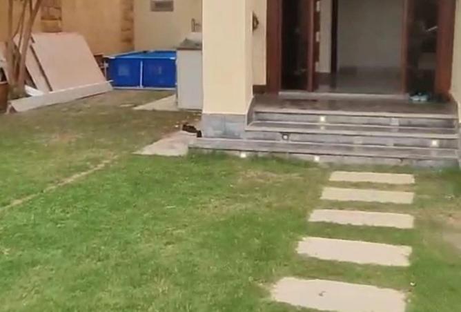 87501565 - صورة العقار 2
